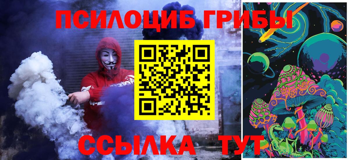 Галлюциногенные грибы прущие грибы  Вход с VPN  Озёры 