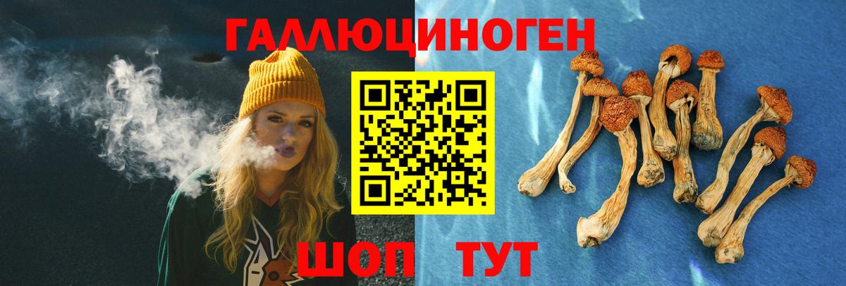 Галлюциногенные грибы GOLDEN TEACHER Озёры
